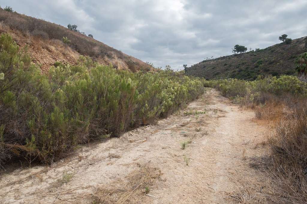 Navajo Canyon Open Space Park | San Diego, CA 92120, USA