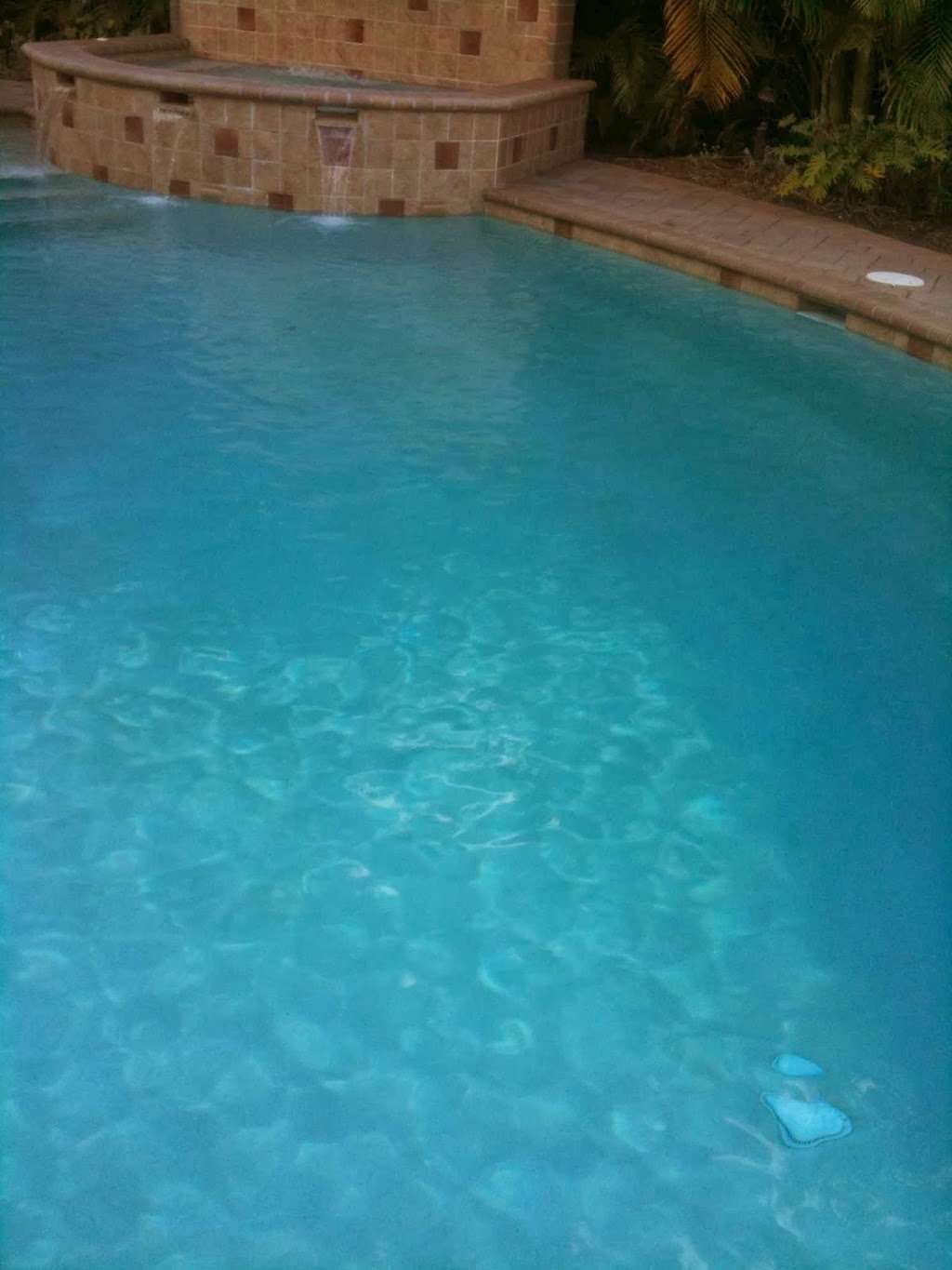 Olympic Pool Service | 132 Hidden Hollow Terrace, Palm Beach Gardens, FL 33418, USA | Phone: (561) 624-2844