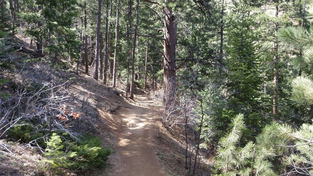 Mount Falcon Park | Castle Trail, Morrison, CO 80465, USA | Phone: (303) 271-5925