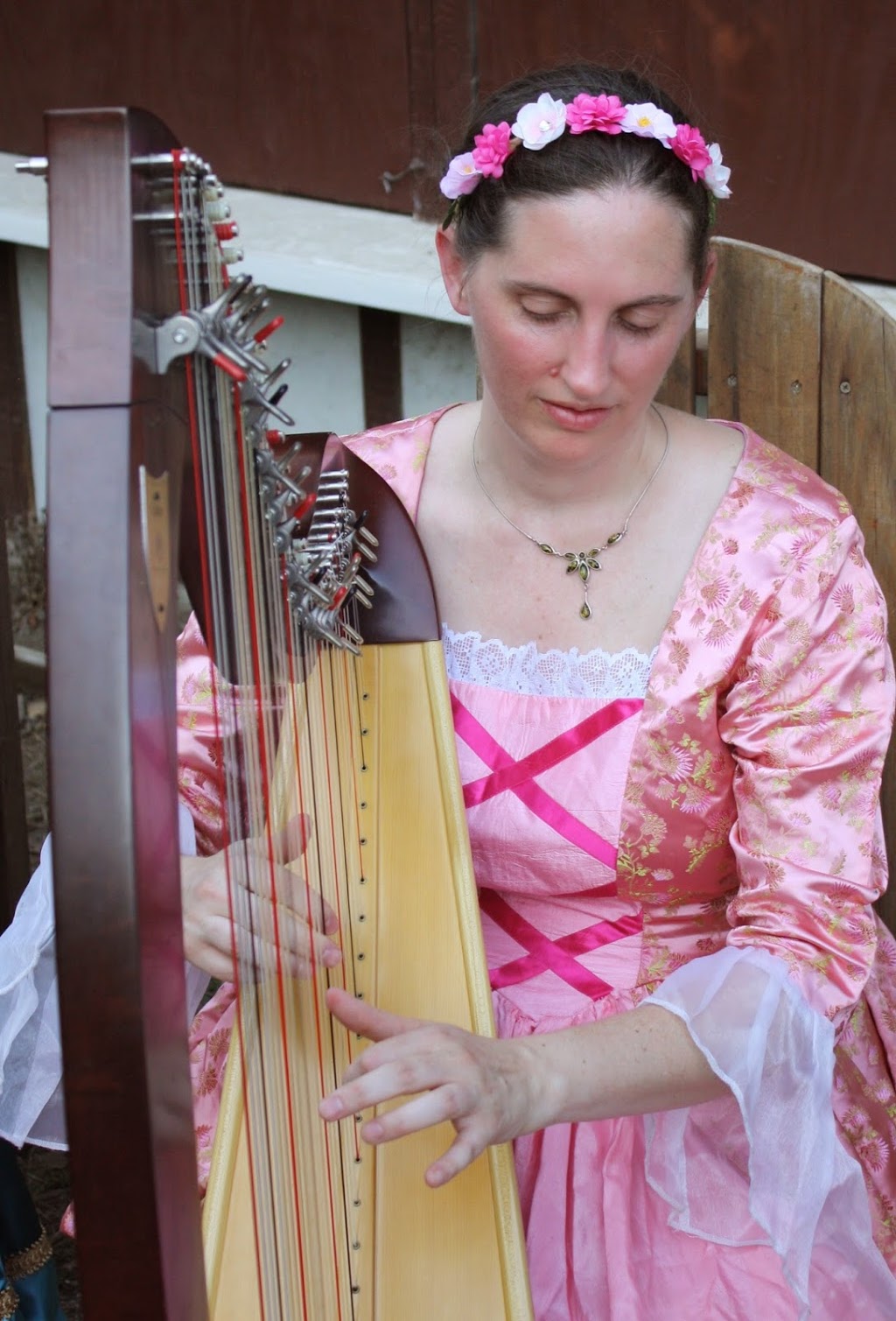 Erin Wood - Harpist | 2342 Westchester Rd, Lawrence, KS 66049, USA | Phone: (785) 760-2973