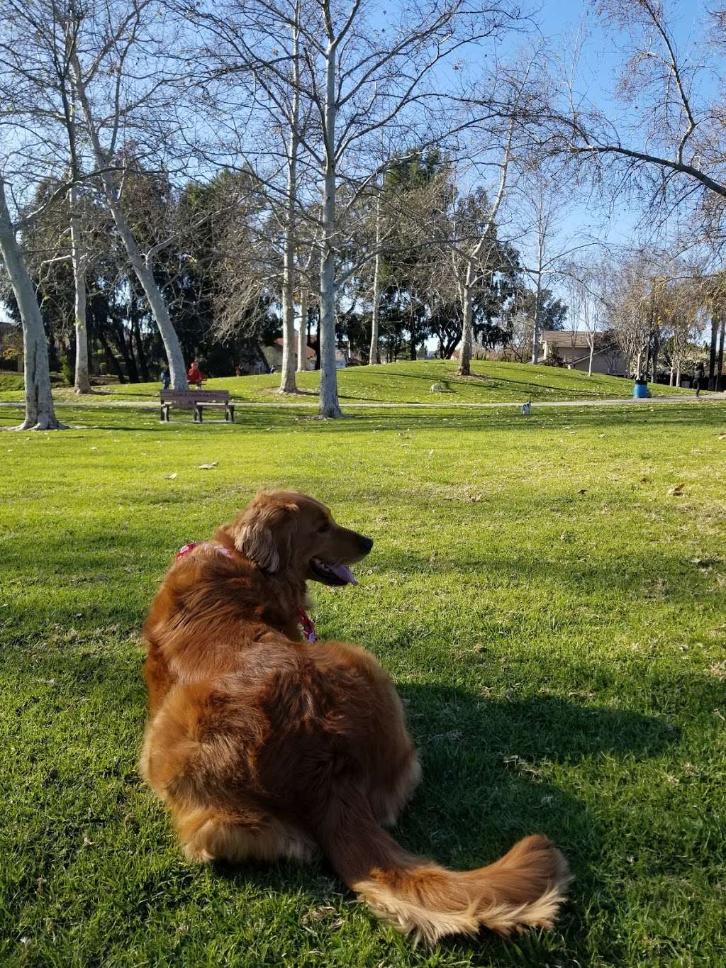 Mission Oaks Dog Park | 5590-5686 Fieldcrest Dr, Camarillo, CA 93012, USA