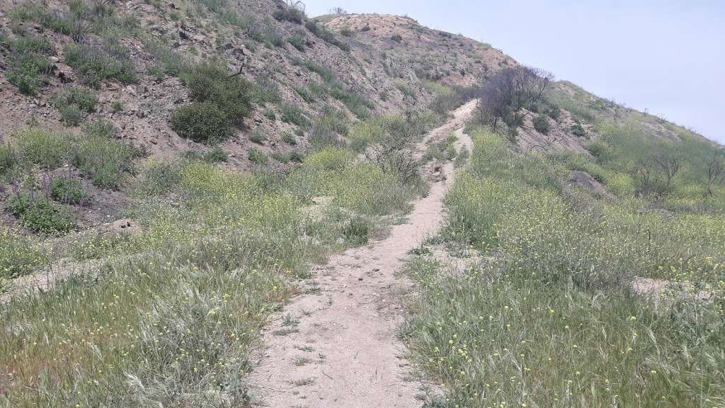 Burbank Hills Hiking | Burbank, CA 91504, USA