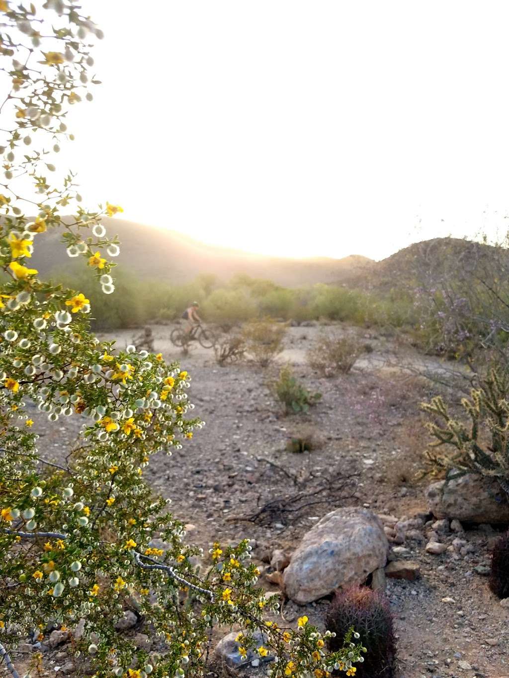 North Mountain Visitor Center | 12950 N 7th St, Phoenix, AZ 85022, USA | Phone: (602) 343-5125