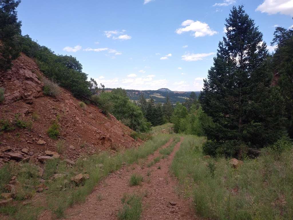 Limbaugh Canyon Trail Head | 557 Rock Ridge Rd, Palmer Lake, CO 80133, USA