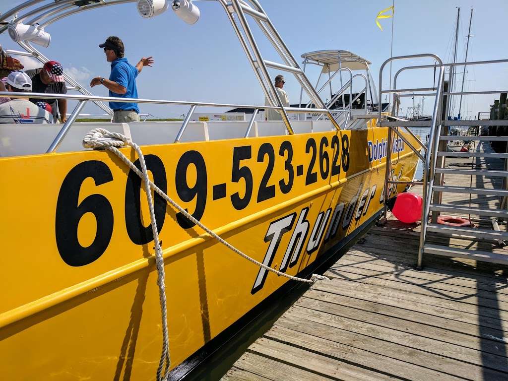 Thunder Cat Dolphin Watch & Speedboat Tours | 1001 Ocean Dr, Wildwood Crest, NJ 08260 | Phone: (609) 523-2628