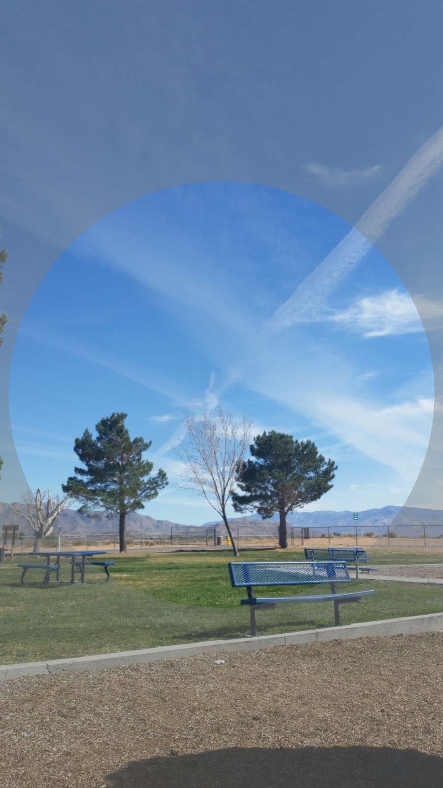brewster park apple valley ca 4th of july