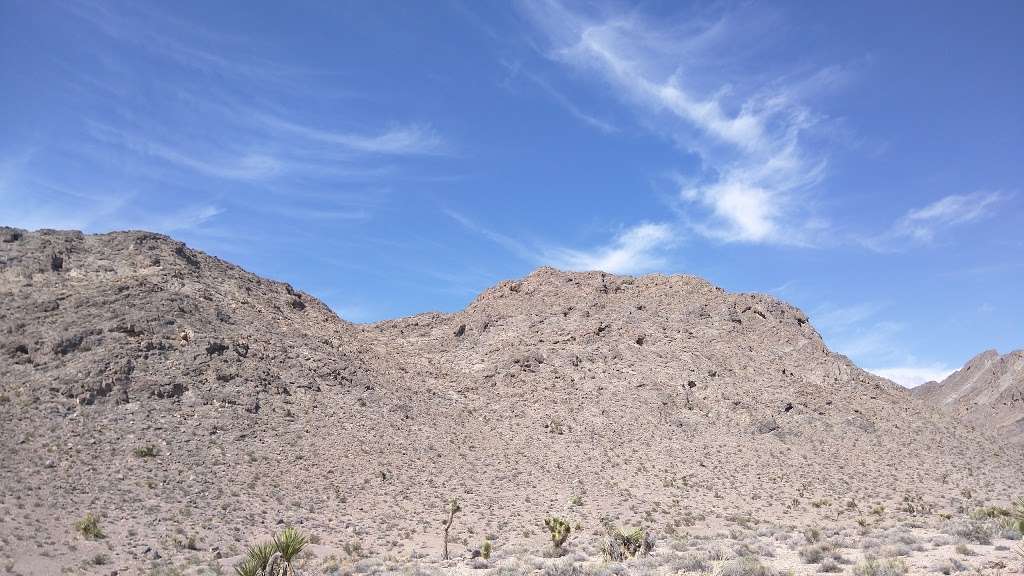 Gass Peak Road Mountain Hike | Las Vegas, NV 89131