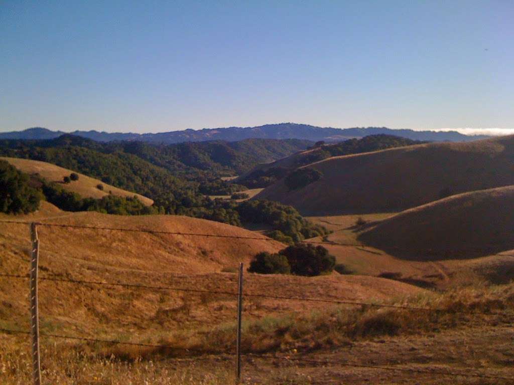 Hidden Crest Park | 1672 Star Jasmine Dr, San Ramon, CA 94582, USA | Phone: (925) 973-3290
