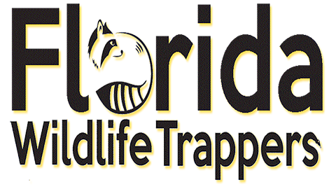 Florida Wildlife Trappers | 13790 Bridgewater Crossings Blvd #1080, Windermere, FL 34786, USA | Phone: (407) 617-1193