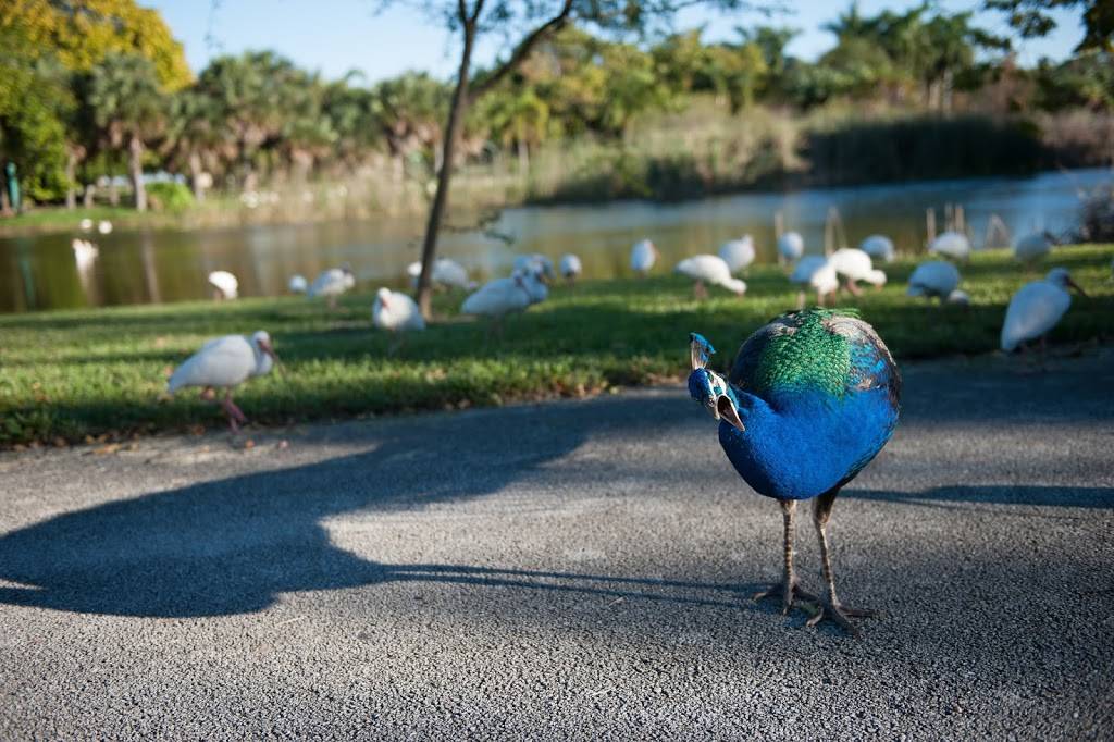 Crandon Park | 6747 Crandon Blvd, Key Biscayne, FL 33149, USA | Phone: (305) 361-5421