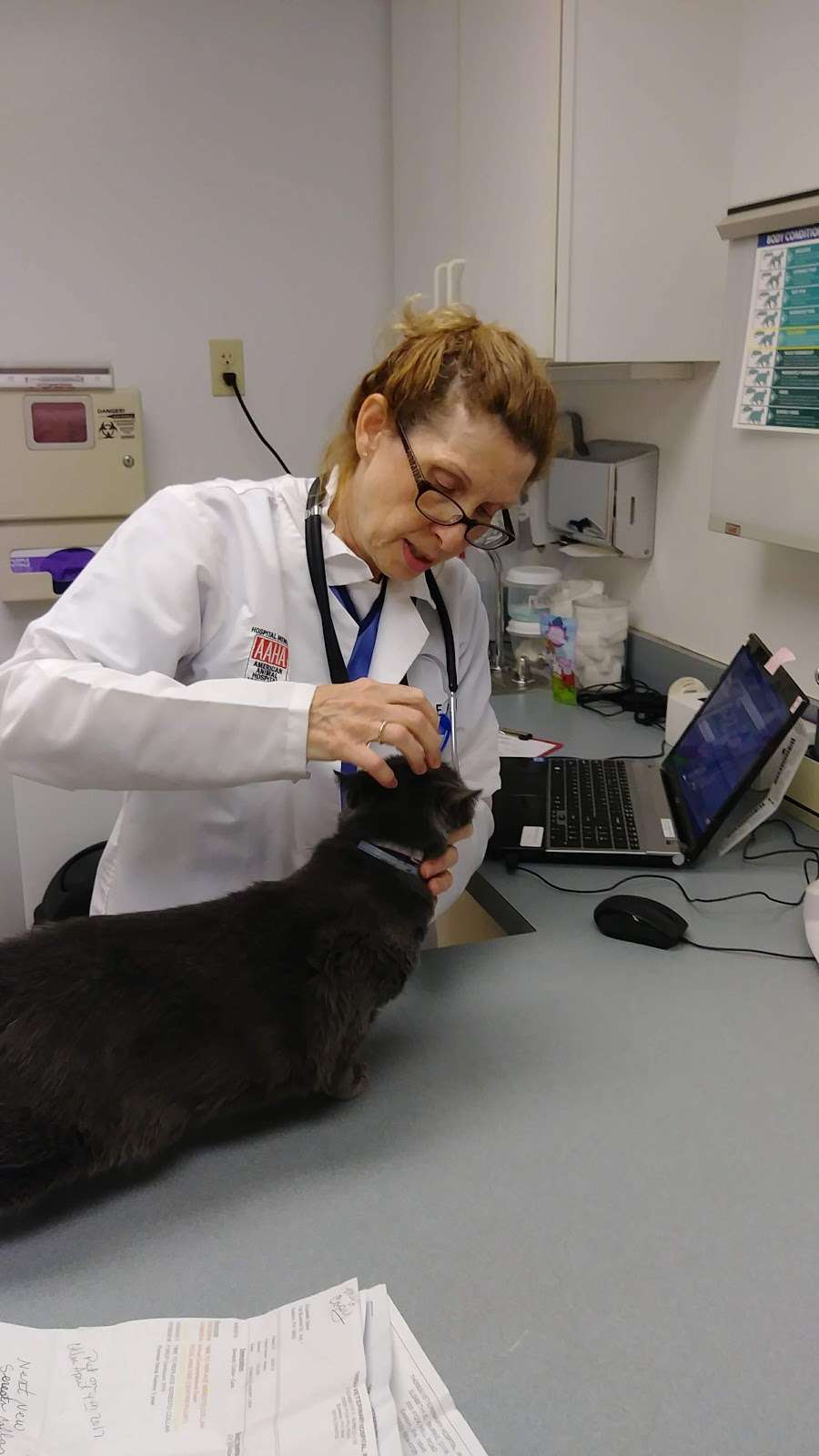 Thoreau Veterinary Hospital | 3300 Fox Hill Rd, Easton, PA 18045, USA | Phone: (610) 559-0728