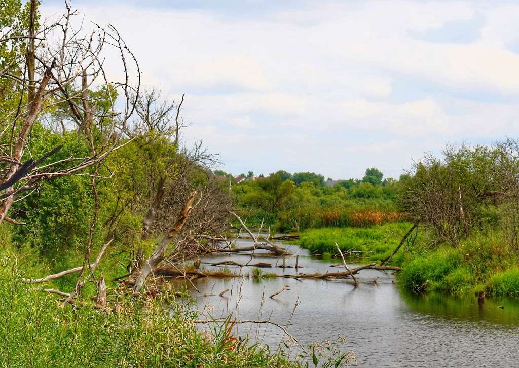 James Pate Philip State Park | 2050 W Stearns Rd, Bartlett, IL 60103, USA | Phone: (847) 608-3100