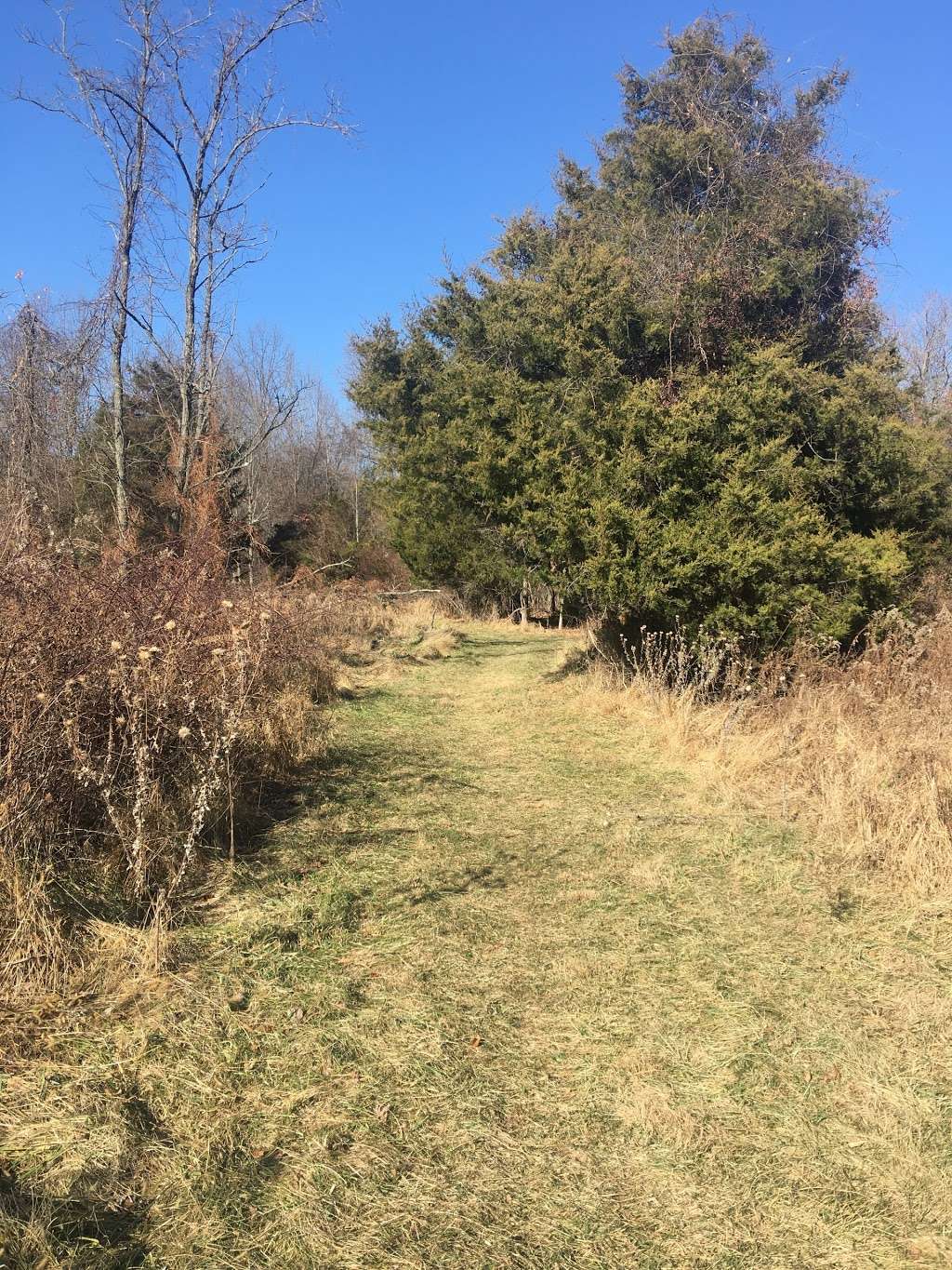 Blue Mash Nature Trail | 20400 Zion Rd, Gaithersburg, MD 20882, USA | Phone: (301) 495-4500