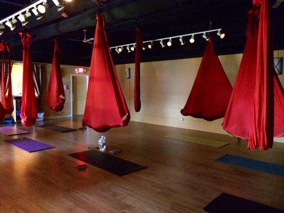 Wild Roots Yoga & Bodywork | 756 W Northwest Hwy, Barrington, IL 60010, USA | Phone: (847) 220-2421