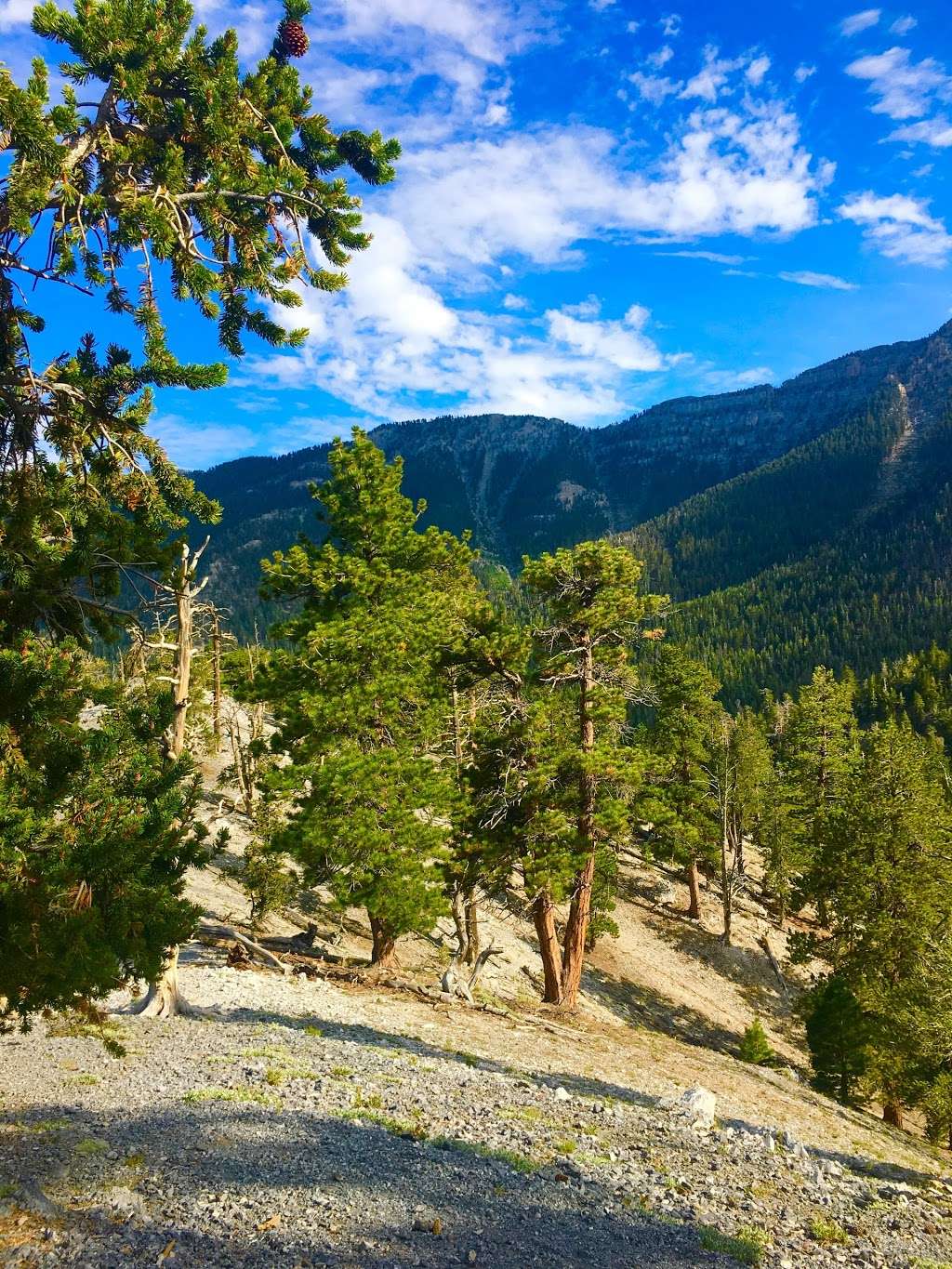 Upper Bristlecone Trail Head | Bristlecone Trail, Las Vegas, NV 89124, USA