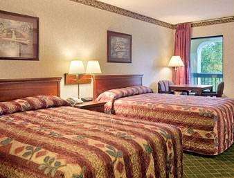 Super 8 by Wyndham Ruther Glen Kings Dominion Area | 24011 Ruther Glen Rd, Ruther Glen, VA 22546, USA | Phone: (804) 375-2912
