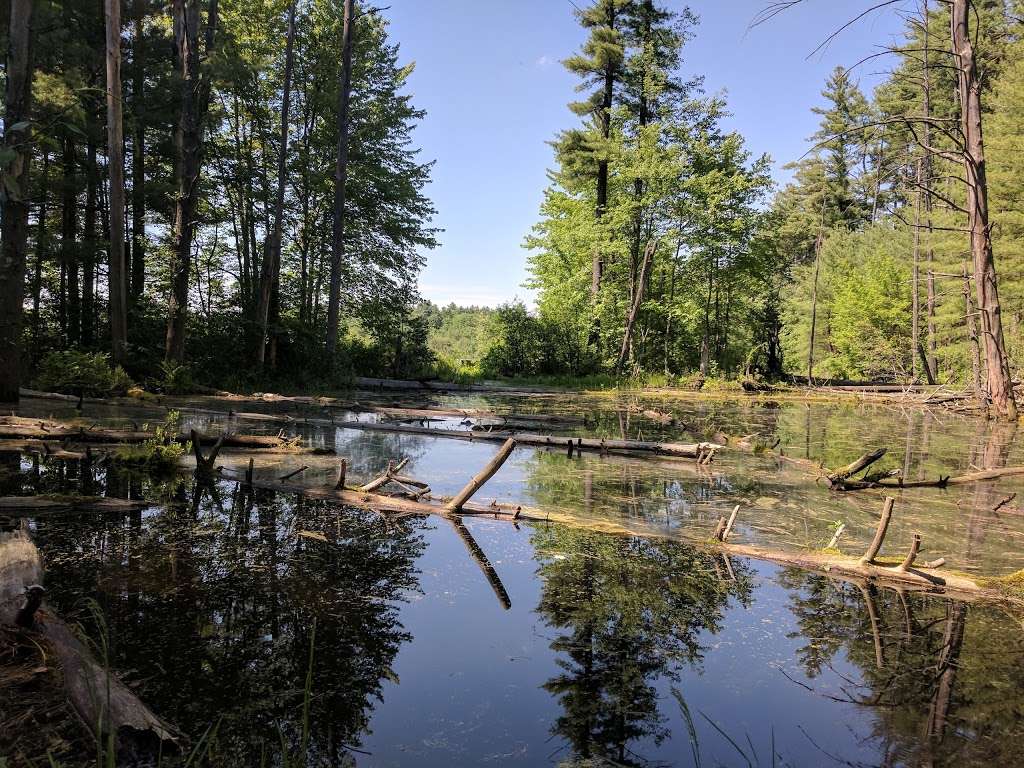 Lovewell Pond Yudicky Farm - Conservation Area | 9 Jenny Hill Ln, Nashua, NH 03062, USA | Phone: (603) 589-3095