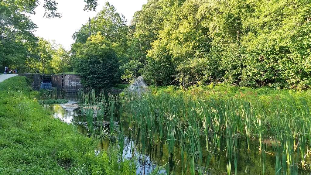 Chesapeake and Ohio Canal National Historical Park | 11710 Macarthur Blvd, Potomac, MD 20854, USA | Phone: (301) 582-0813