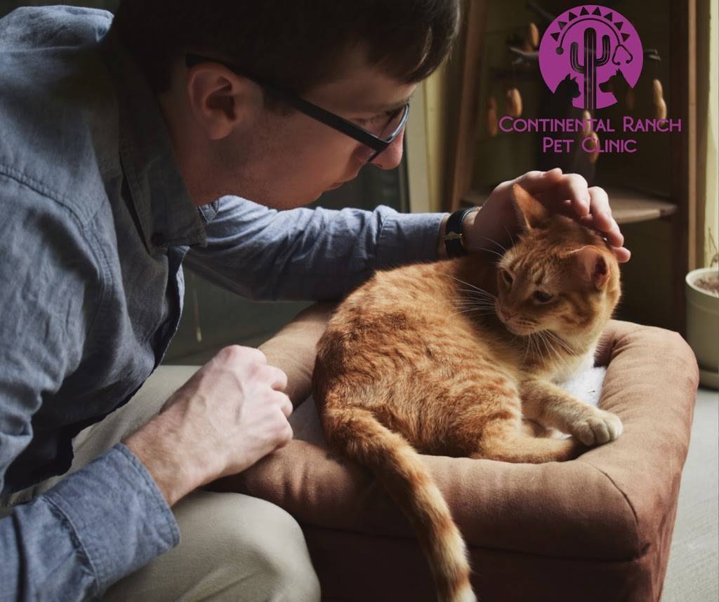 Continental Ranch Pet Clinic | 7850 N Silverbell Rd # 108, Tucson, AZ 85743 | Phone: (520) 744-3850