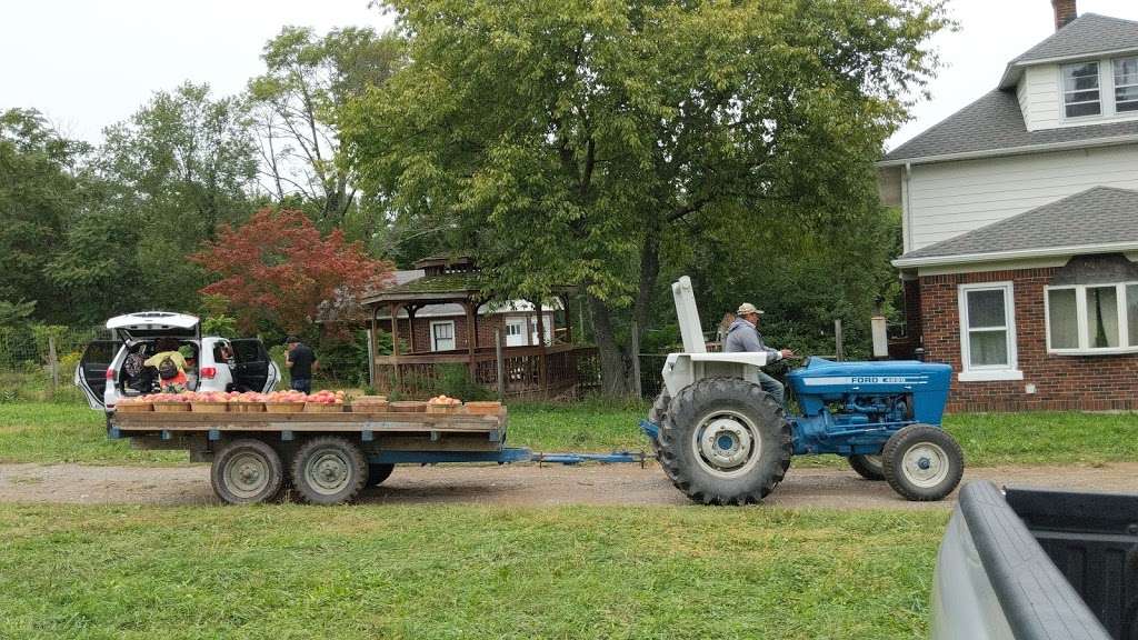 Apple Picking | 642 County Rd 50, New Hampton, NY 10958 | Phone: (845) 374-5471