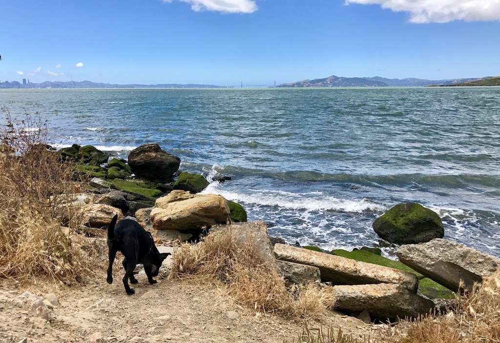 Mudpuppys at Point Isabel Dog Park | 1 Isabel St, Richmond, CA 94804, USA | Phone: (888) 505-2998