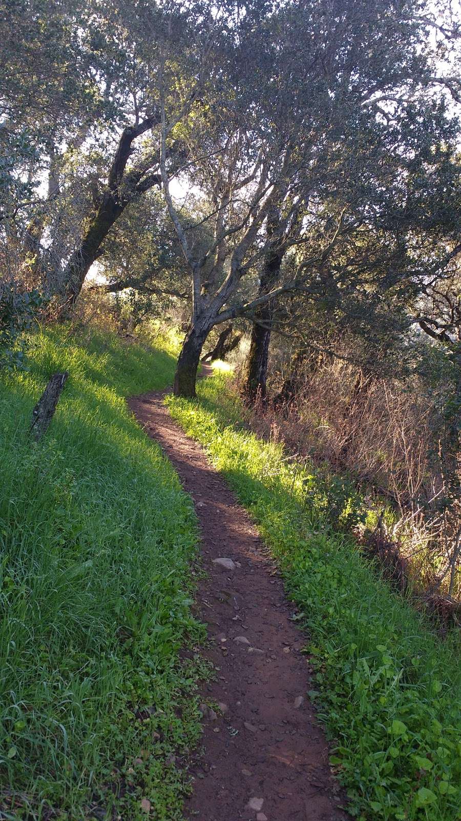 Stevens Creek County Park | 11401 Stevens Canyon Rd, Cupertino, CA 95014, USA | Phone: (408) 867-3654