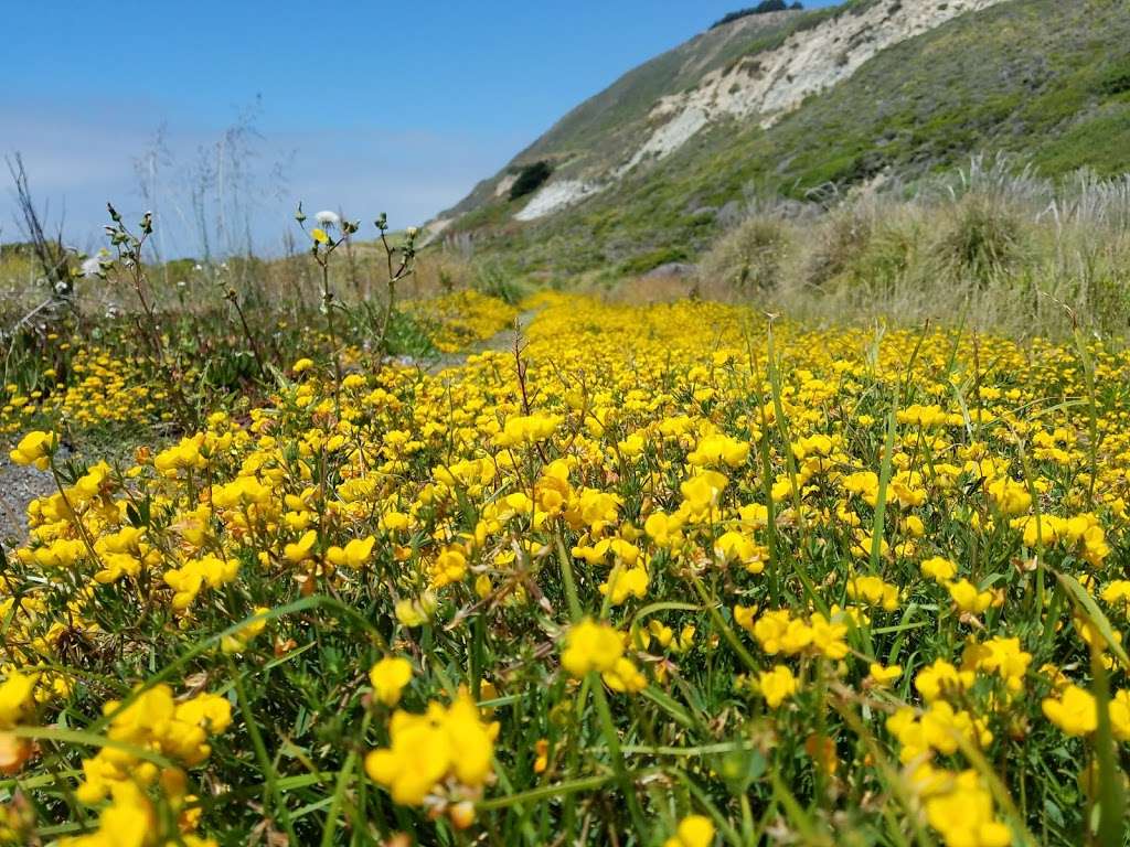 Mussel Rock Open Space | 68 Westline Dr, Daly City, CA 94015 | Phone: (650) 991-8001