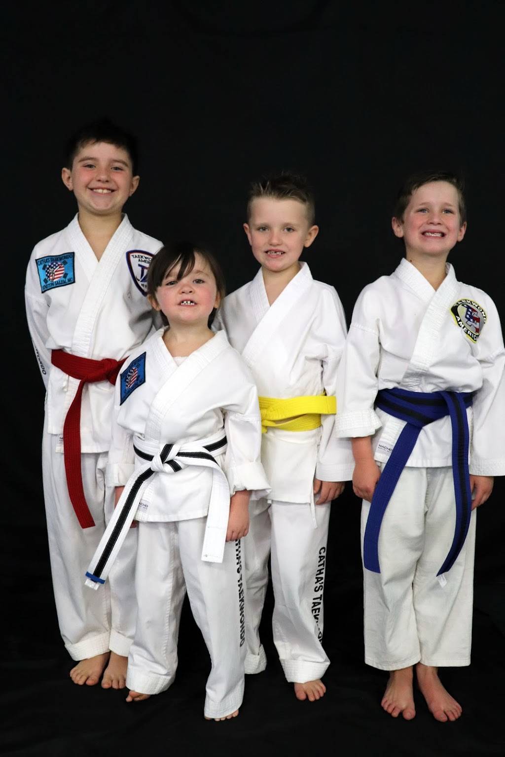 Cathas Taekwondo America | 4928 Martin View Ln, Winston-Salem, NC 27104, USA | Phone: (336) 561-0026