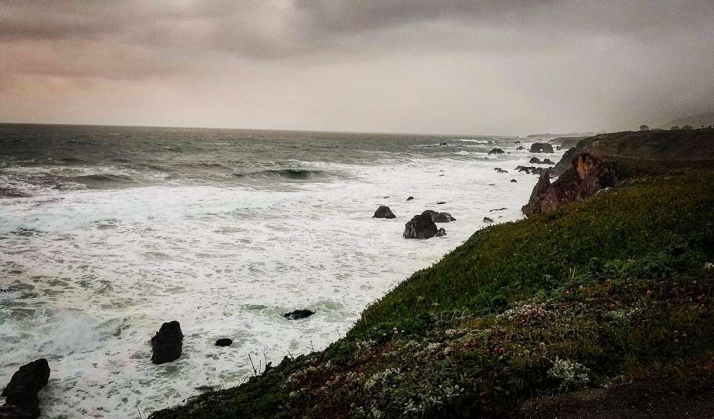 North Salmon Creek Beach | 3095 CA-1, Bodega Bay, CA 94923, USA | Phone: (707) 875-3483