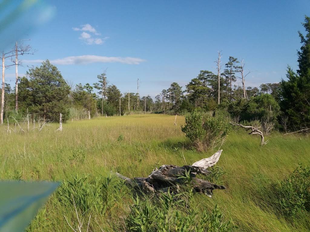 First Landing State Park 64th St Entrance | 225 64th St, Virginia Beach, VA 23451, USA | Phone: (757) 412-2300