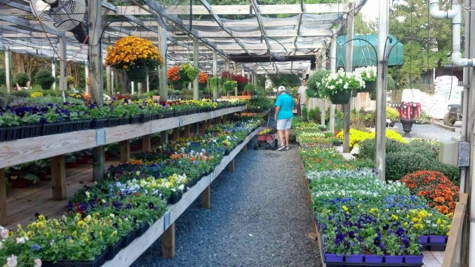 Southern Styles Nursery & Garden Center | 4245 Rea Rd, Charlotte, NC 28226, USA | Phone: (704) 544-8686