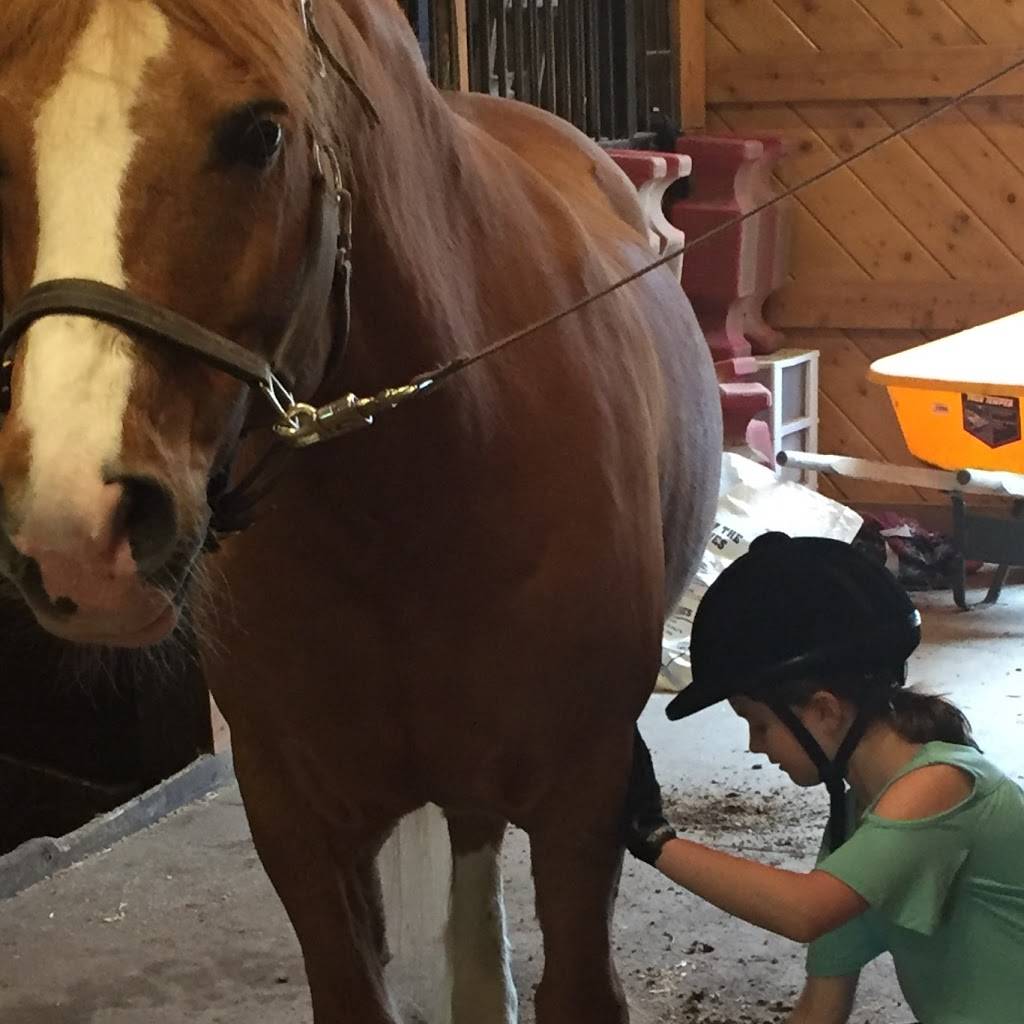 Baker Creek Farm | School of Horsemanship | 12460 Clarke Rd, Columbia Station, OH 44028, USA | Phone: (440) 595-4126