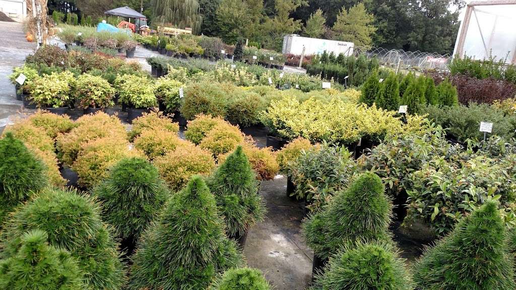 Eastern Ornamentals LLC | 24675 Rd 220, Milford, DE 19963 | Phone: (302) 684-8733