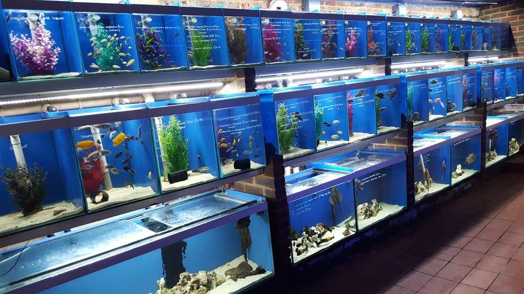 World of Fishes | World Of Fishes Eastbourne Road, A22, Felbridge, Lingfield RH7 6HL, UK | Phone: 01342 836633