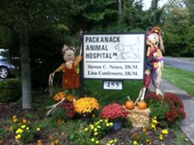 Packanack Animal Hospital | 455 Newark Pompton Turnpike, Wayne, NJ 07470, USA | Phone: (973) 305-3652