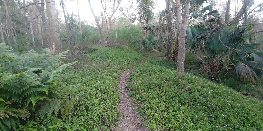 Osprey Trail Trailhead | Sanford, FL 32773, USA