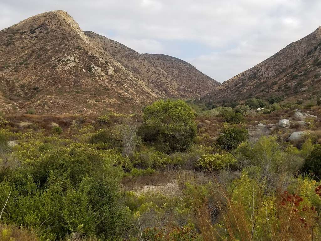 Mission Trails Jackson | 1 Father Junipero Serra Trail, San Diego, CA 92120, USA | Phone: (619) 668-3281