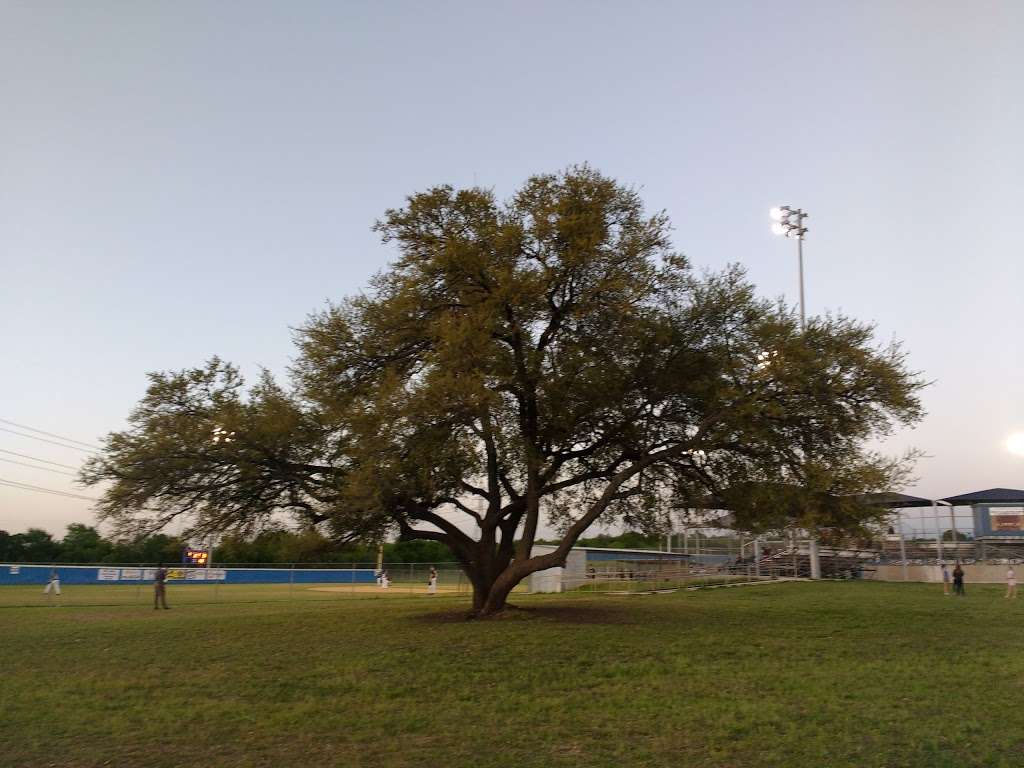 McAllister Park Little League Fields | San Antonio, TX 78247, USA