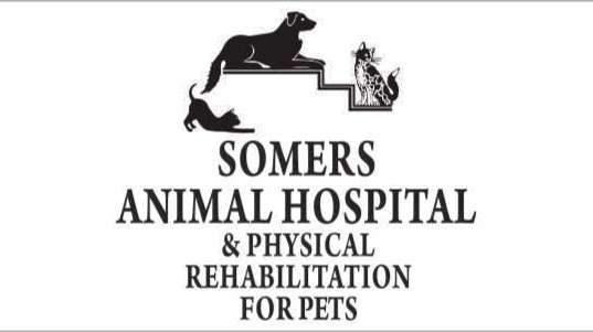 Somers Animal Hospital | 352 US-202, Somers, NY 10589, USA | Phone: (914) 277-3686