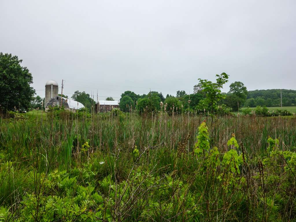 Appalachian Trail | Goldsmith Rd, Wantage, NY 07461, USA