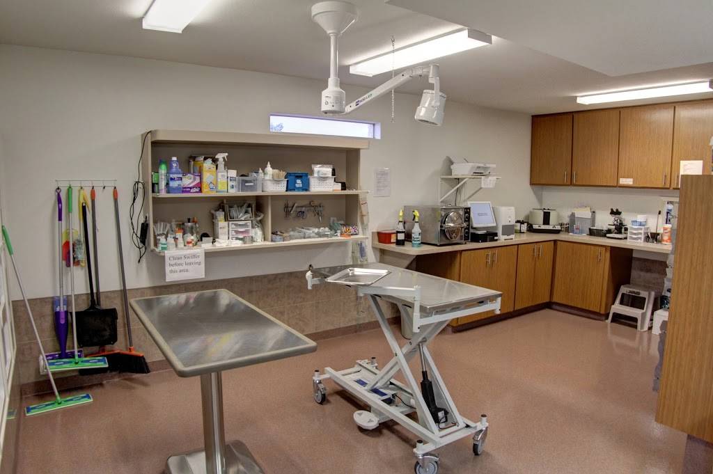 Adobe Veterinary Clinic | 6454 E Main St, Mesa, AZ 85205, USA | Phone: (480) 832-2240