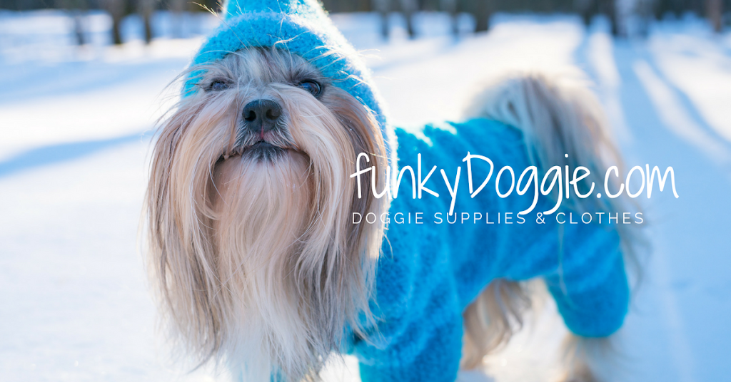 FUNKYDOGGIE.COM | 1257 Dalmaso Dr, Daytona Beach, FL 32117, USA | Phone: (888) 273-7787