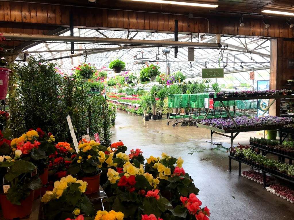 Mahoneys Garden Center | 242 Cambridge St, Winchester, MA 01890, USA | Phone: (781) 729-5900