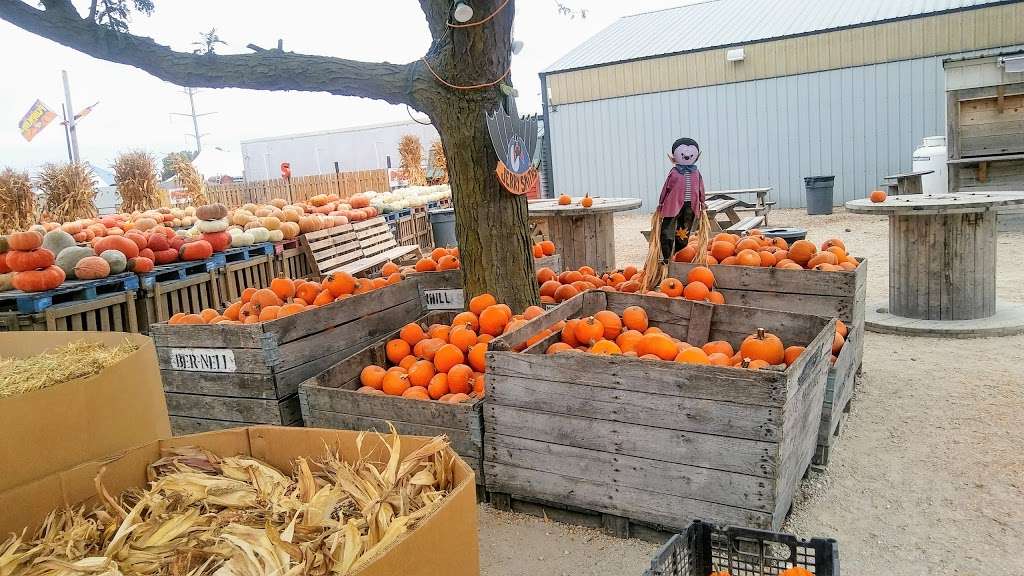 Jerry Smith Pumpkin Farm | 7150 18th St, Kenosha, WI 53144, USA | Phone: (262) 859-2645
