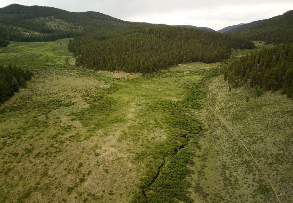 North Fork Trailhead | Forest Rd 134, Jefferson, CO 80456, USA