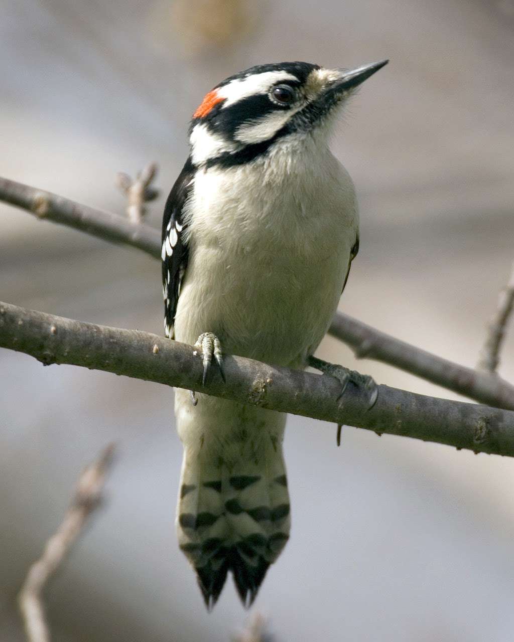 FLOC Outdoor Education Center | 671 Floc Way, Harpers Ferry, WV 25425, USA | Phone: (304) 725-0409