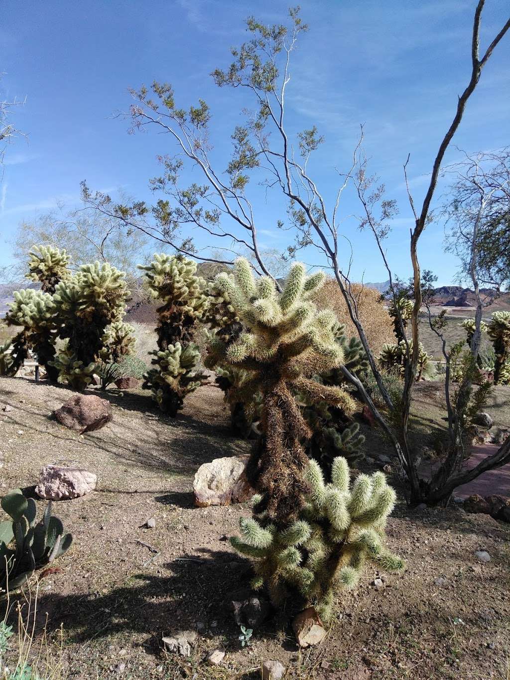 Lake Mead Visitor Center | 10 Lakeshore Rd, Boulder City, NV 89005, USA | Phone: (702) 293-8990