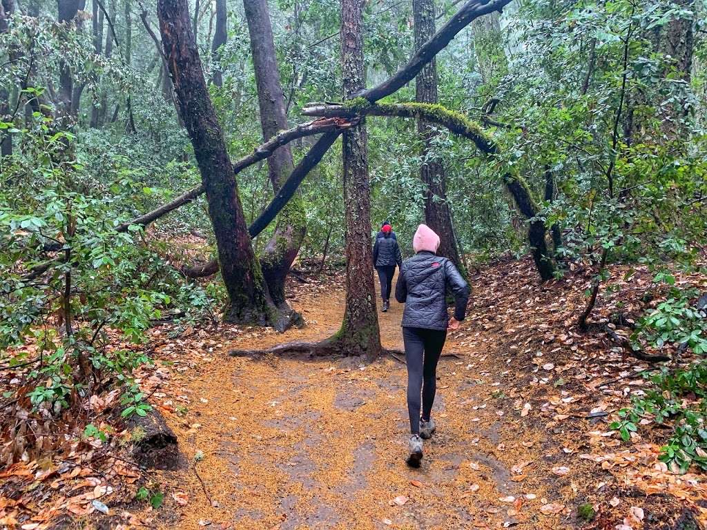 Castle Rock state park parking | Castle Rock Trail, Saratoga, CA 95070, USA