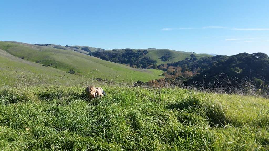 Dry Creek Pioneer Regional Park | 1320 Garin Ave, Union City, CA 94587, USA | Phone: (888) 327-2757