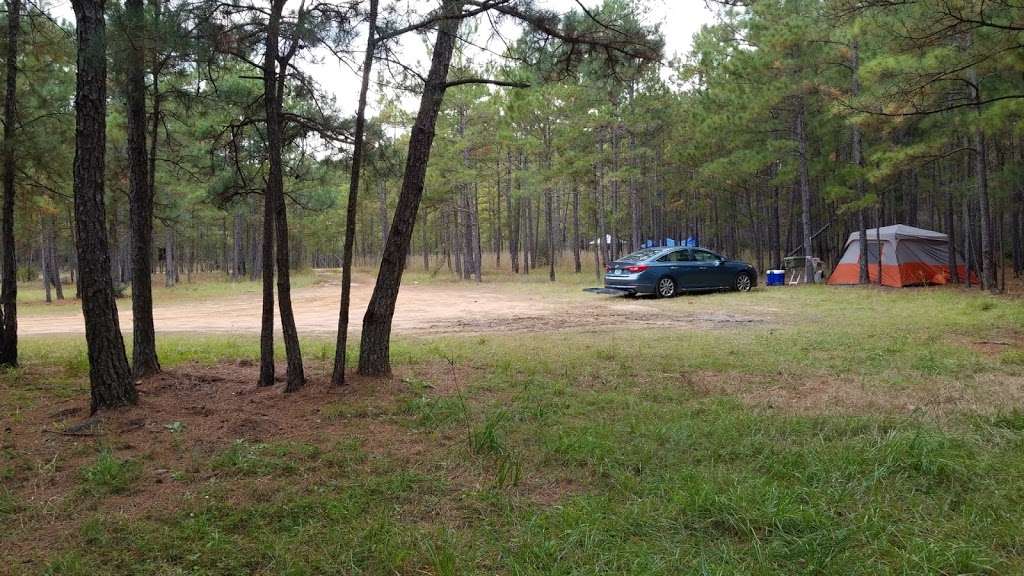 Hunters camp - Sam Houston National Forest | Cleveland, TX 77328